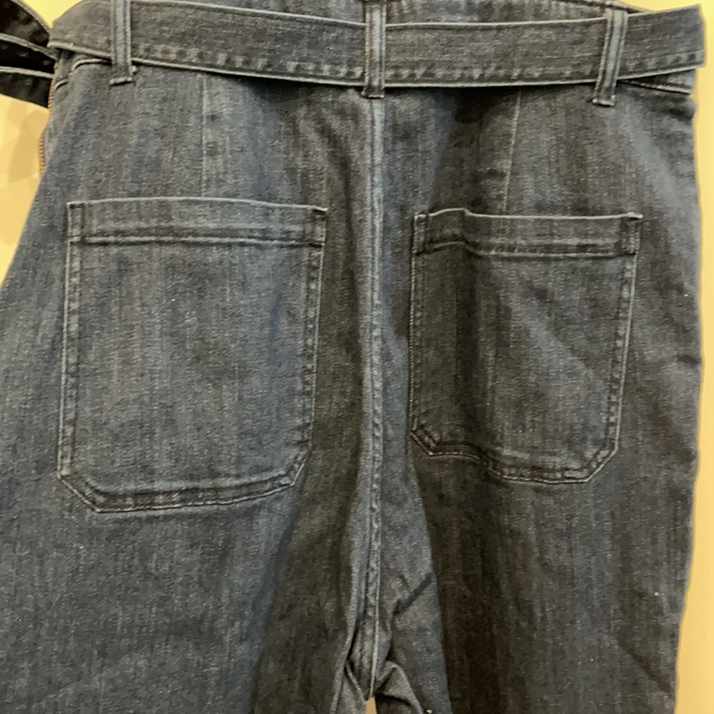 Blue Jean Jumpsuit - Picture 9 of 15